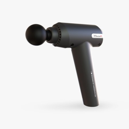 HARISON 310 fascia gun