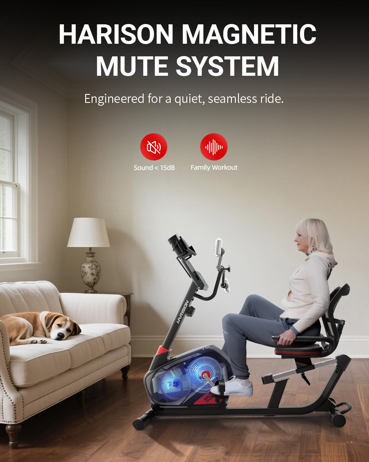 Recumbent Exercise Bike