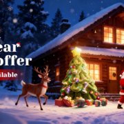 Christmas and New Year Special Offers